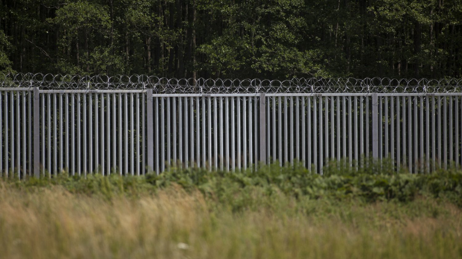 Przy granicy z Białorusią znaleziono dwa ciała, prawdopodobnie należały do migrantów