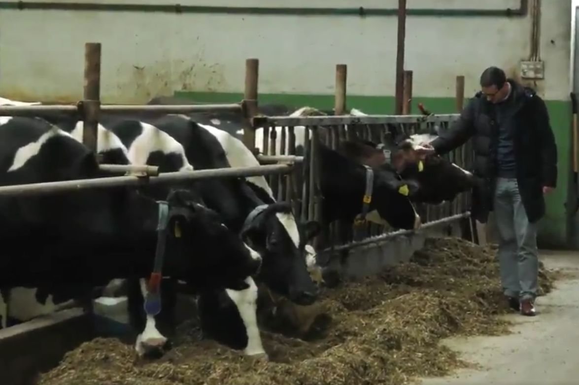 Premier Mateusz Morawiecki złożył wizytę u dostawców mleka w Wysokiem Mazowieckiem.