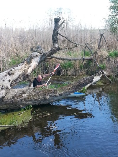 Prawie jak w dżunglii