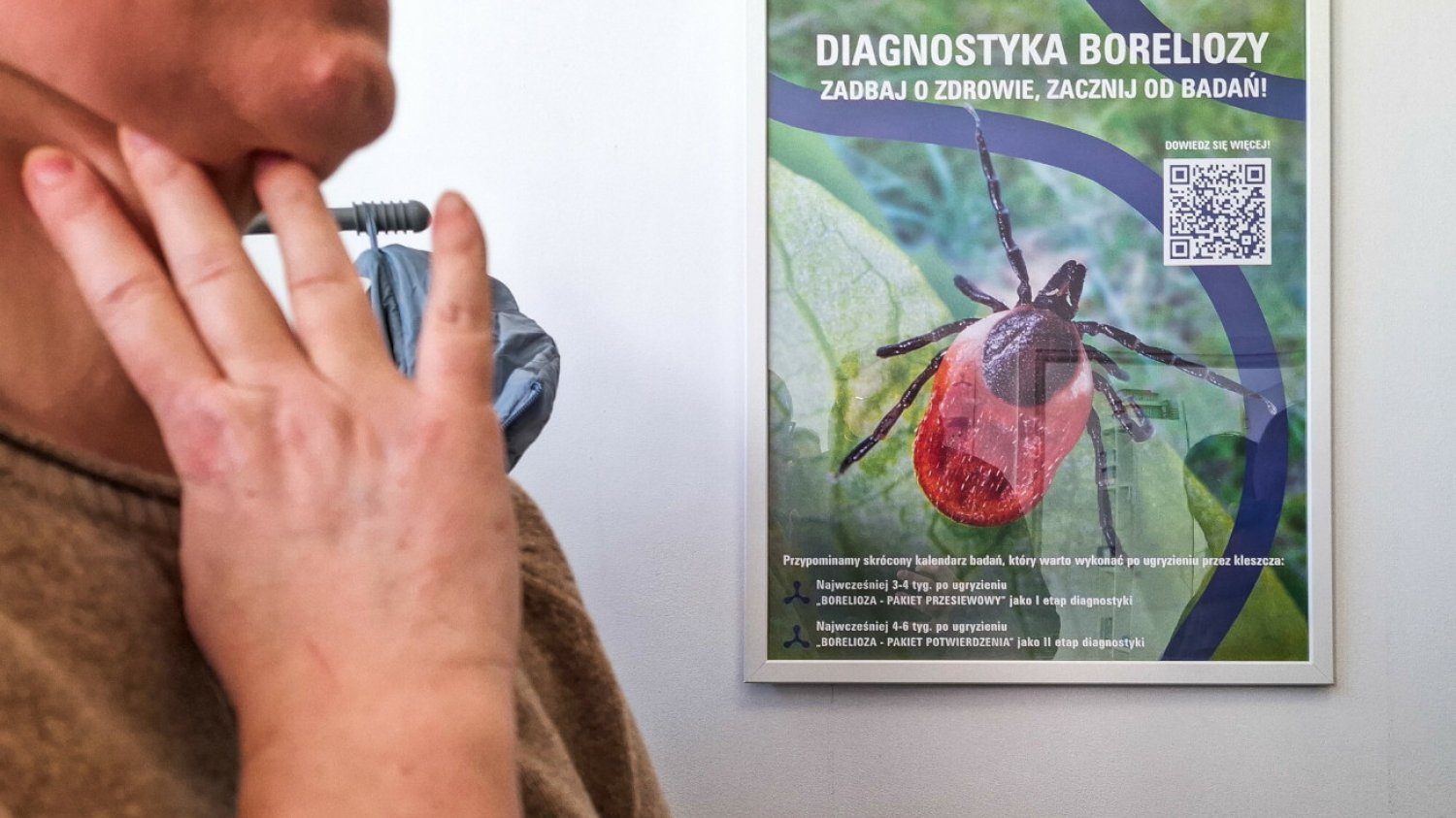 Kleszcze w natarciu. Właściciele czworonogów muszą uważać.
