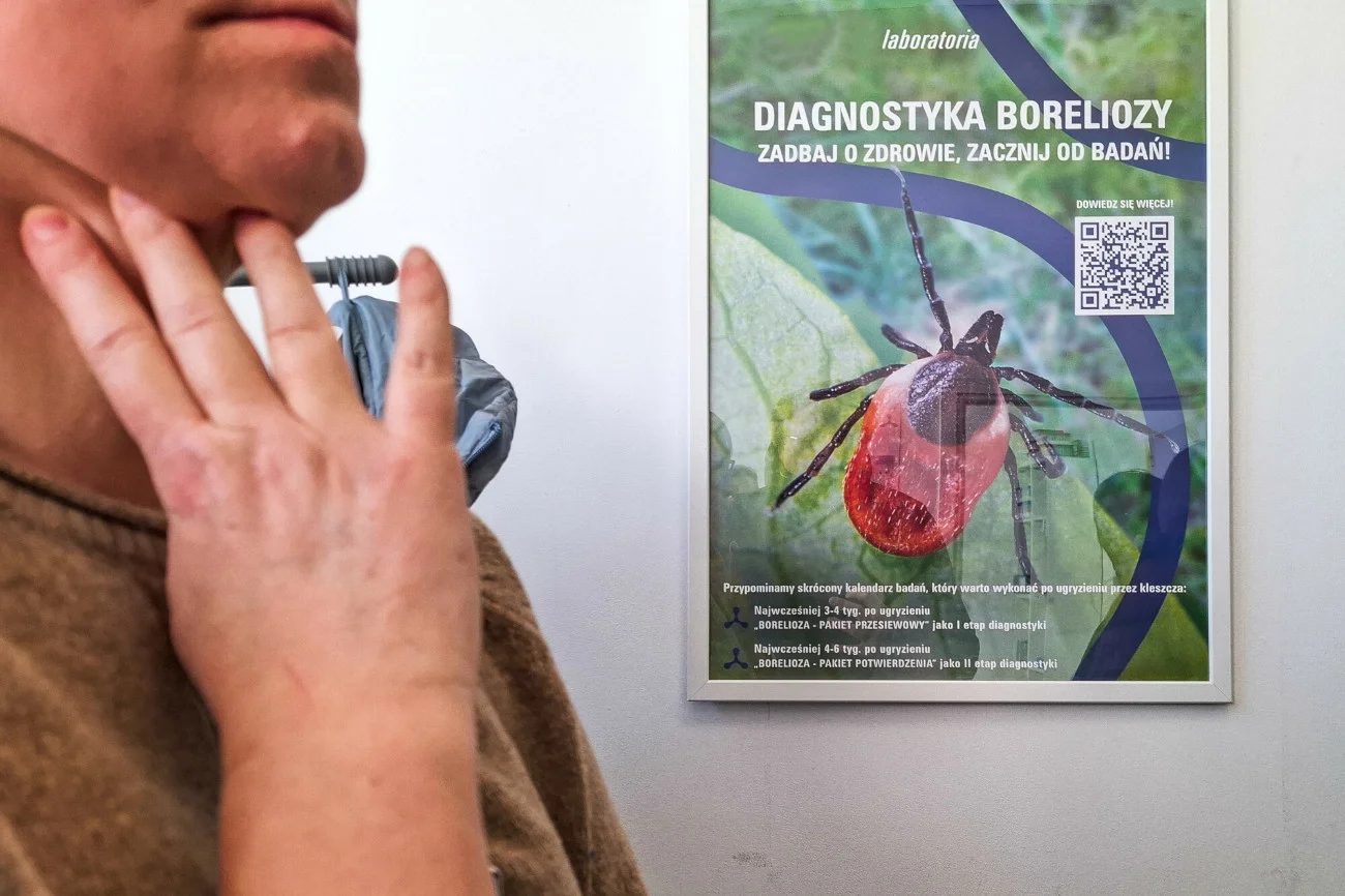 Kleszcze w natarciu. Właściciele czworonogów muszą uważać.