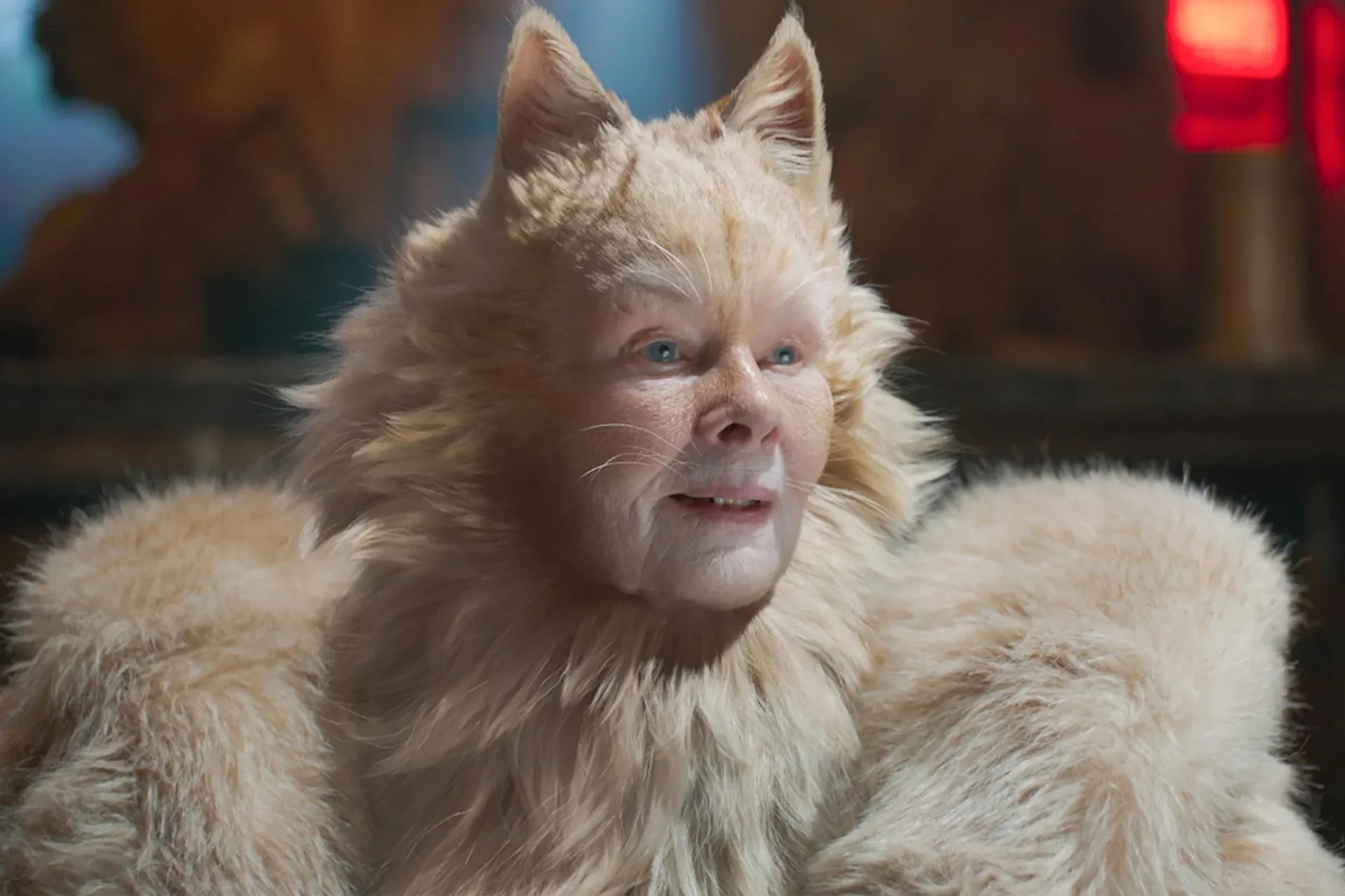 Judi Dench "Koty"