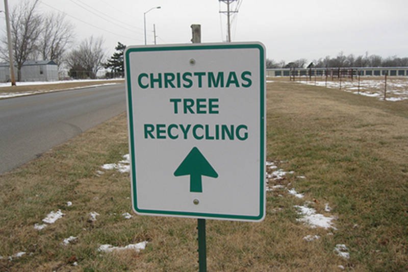 Co zrobić z choinkami po świętach?