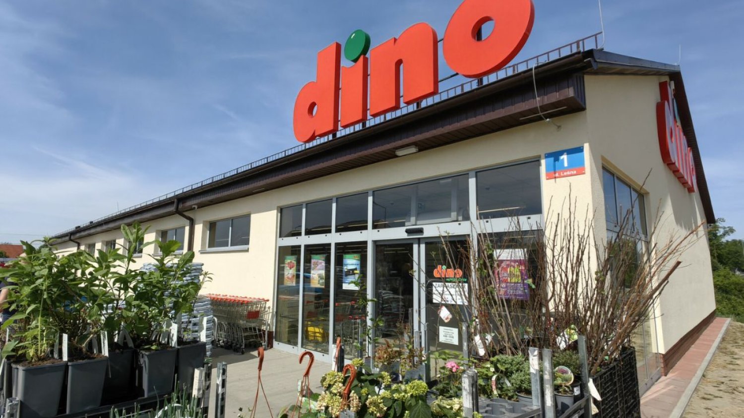 Czesi robią zakupy w Dino
