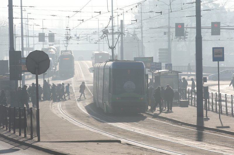 Najbardziej na życiu w smogu tracą najmniejsze dzieci.