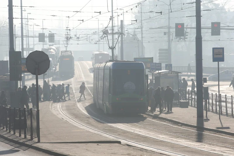 Najbardziej na życiu w smogu tracą najmniejsze dzieci.