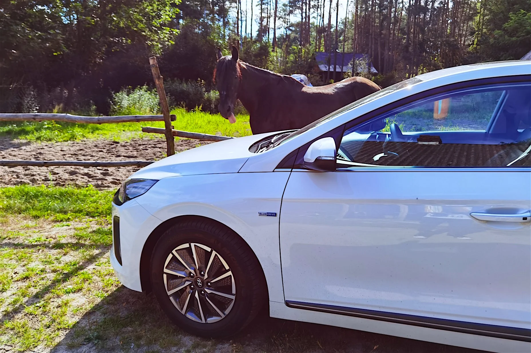 Hyundai Ioniq Electric