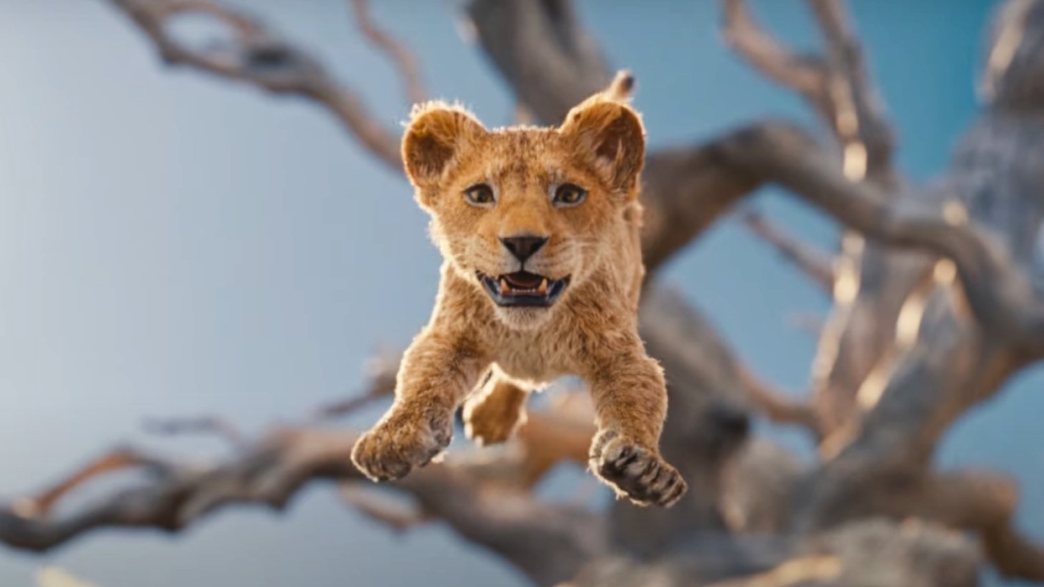 Pokazano zwiastun filmu "Mufasa: Król lew". Będzie hit?