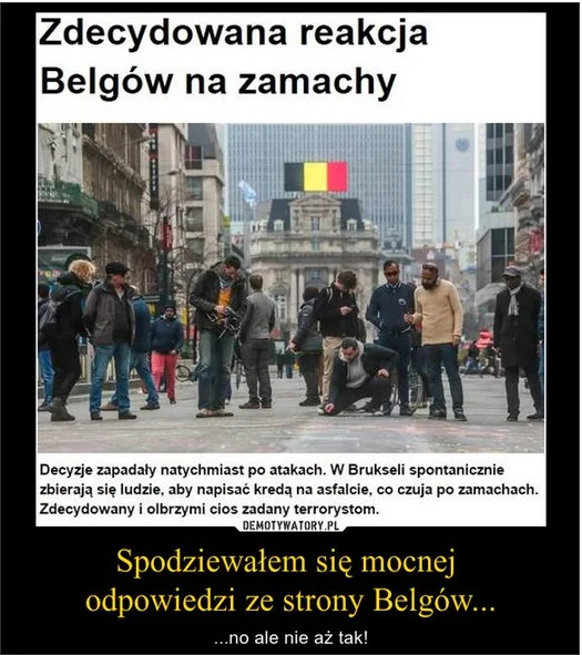 Internauci kpią z Belgów