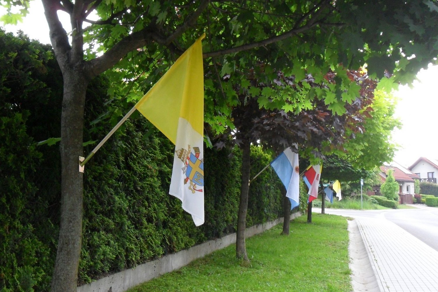 Klony podczas procesji z okazji Bożego Ciała w Cieszynie.