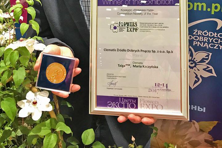 Polacy dostali złoty medal na prestiżowej wystawie w Moskwie.