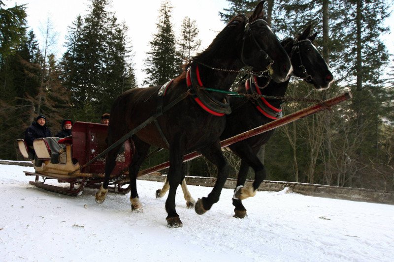 Co roku, zwłaszcza przed Sylwestrem, słyszymy o tłumach turystów nad Morskim Okiem.