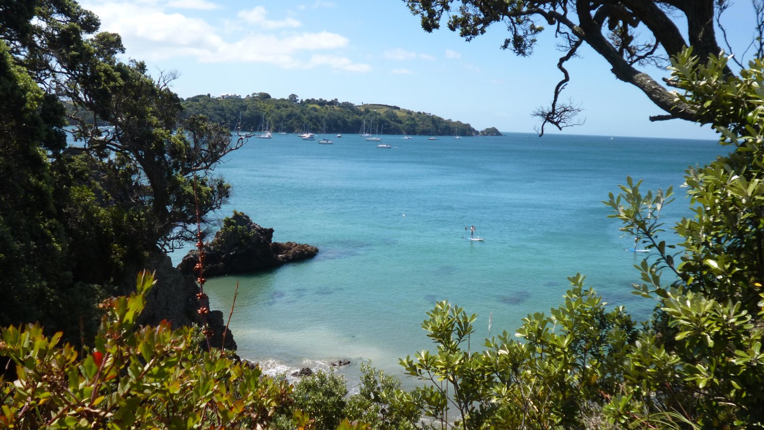 Widoki na wyspie Waiheke są zdumiewające.