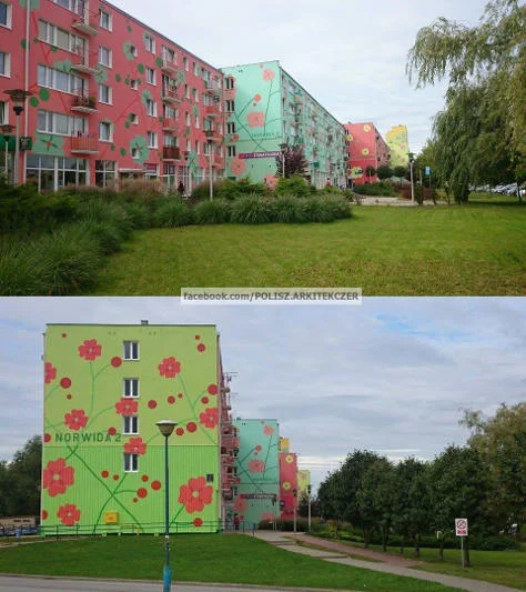 Jeden z polskich "kwiatków" .