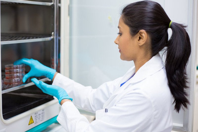 Lekcje na temat in vitro wpisane do programu religii, zaakceptowanego przez Archidiecezję Warszawską.