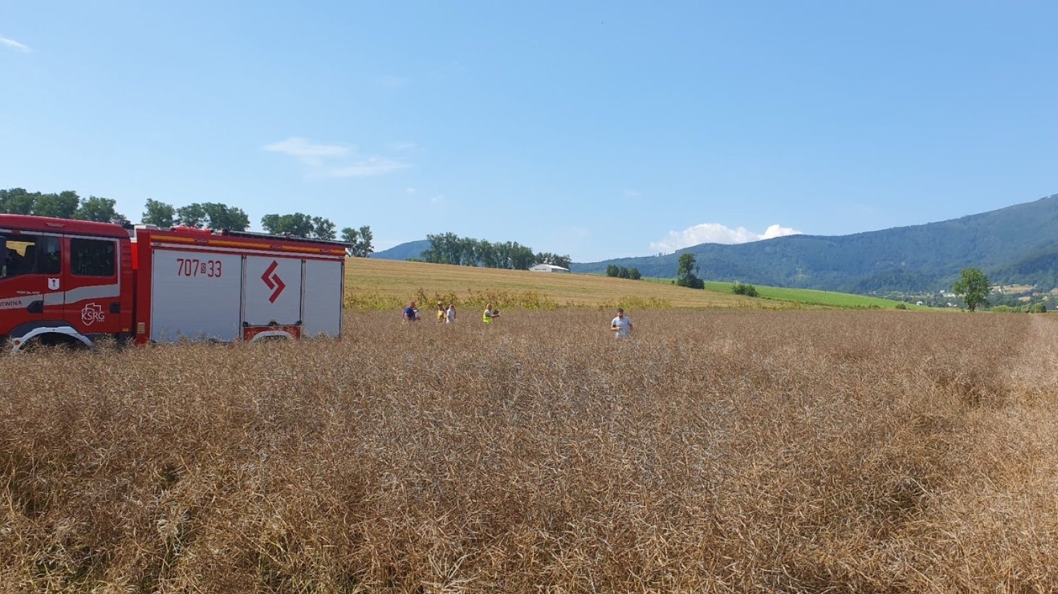 Wypadek w Lipowej pod Żywcem. Na ziemię spadł samolot. Wypadek w Lipowej pod Żywcem. Na ziemię spadł samolot.