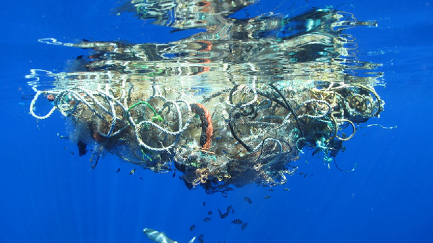 Fragment Wielkiej Pacyficznej Plamy Śmieci. Ilość plastiku w oceanach jest 10 razy większa, niż zakładano