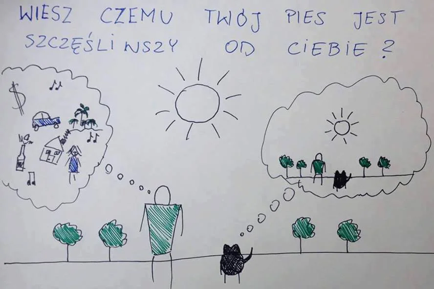 Wszystko jest niby takie proste więc czemu tak wielu z nas nieszczęśliwych? Bo uważamy, że przeciętność to coś złego. Wróćmy normalności, bo jak sama nazwa wskazuje odbieganie od tego jest czymś... nienormalnym.