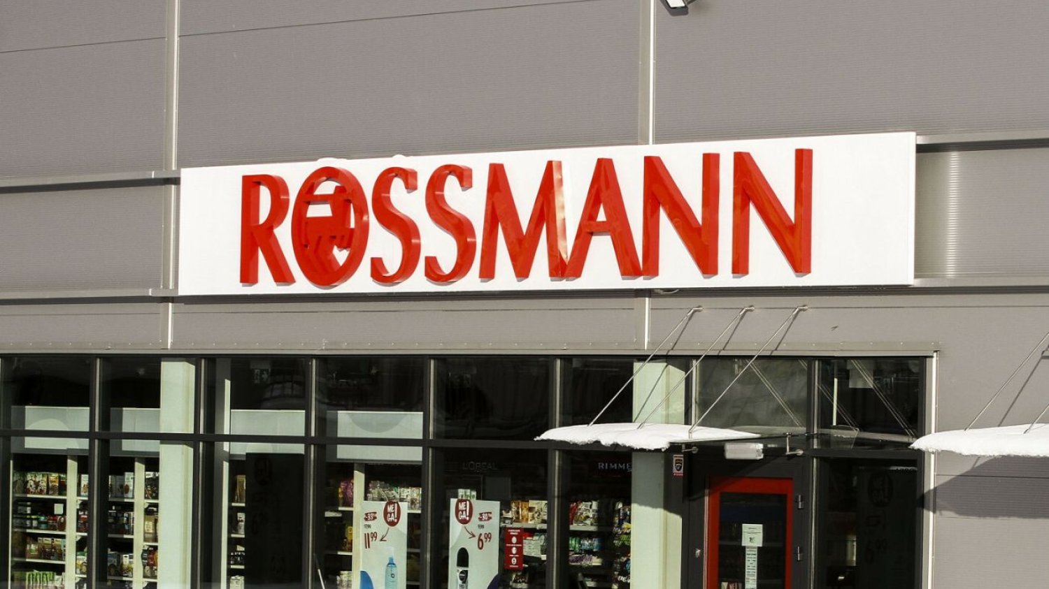 Aż ciężko uwierzyć, co było w tym produkcie. Rossmann wydał pilne ostrzeżenie. Rossmann pilnie wycofuje te produkty. W jednym znaleziono martwe pszczoły.