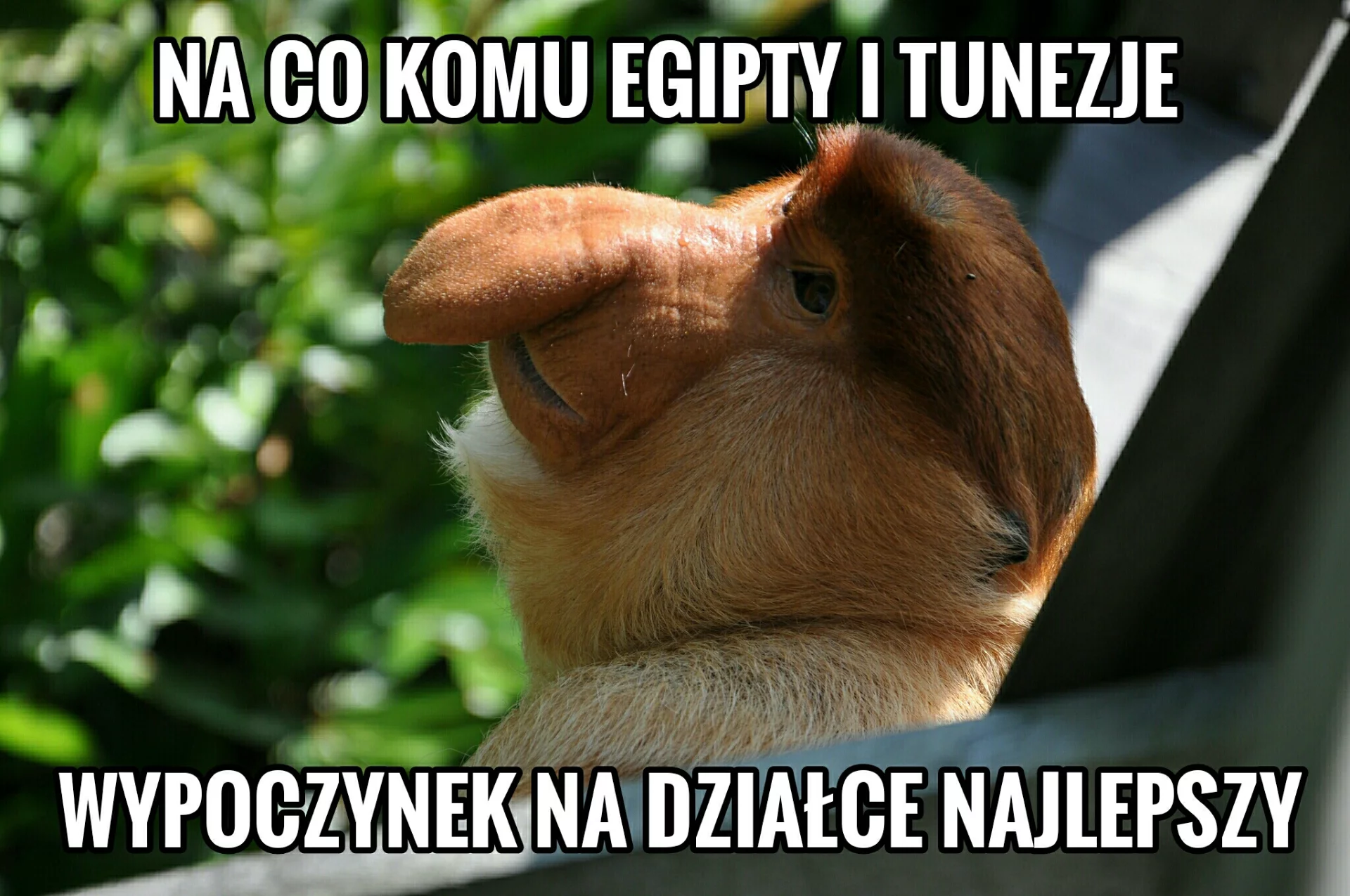 Wszędzie dobrze, ale w domu najlepiej!