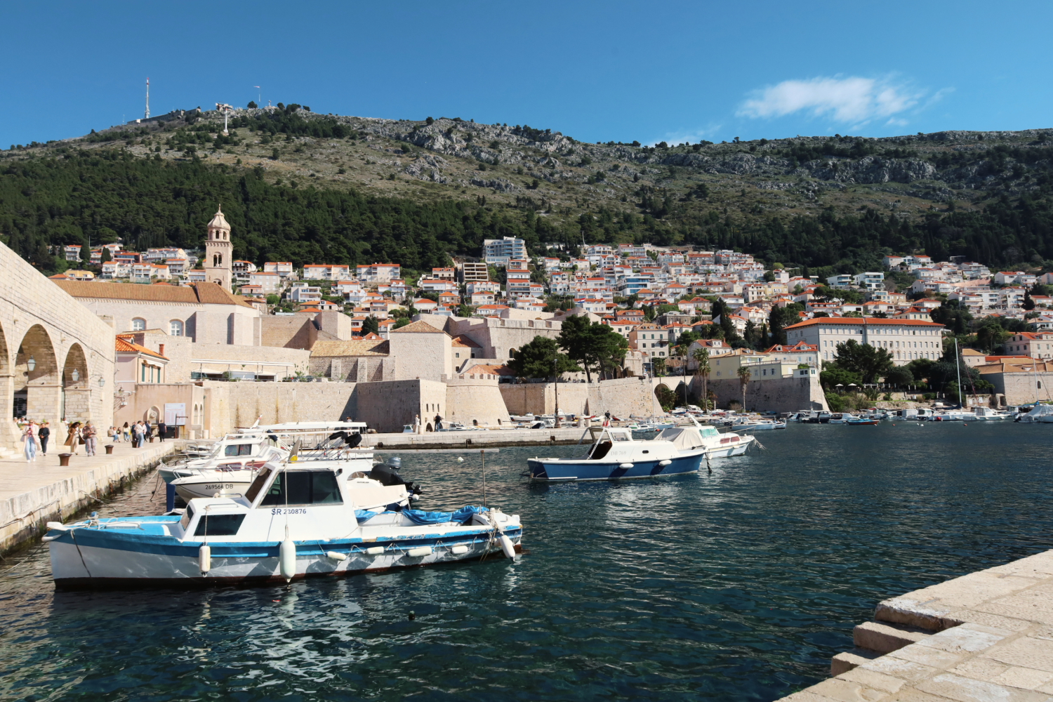 przystań w Dubrowniku