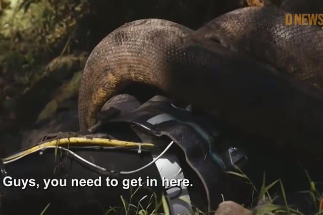 Paul Rosolie zrezygnował z próby, gdy anakonda owinęła się wokół niego