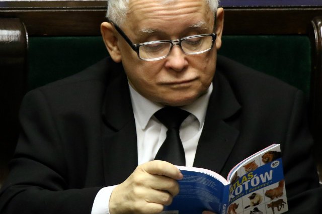 Zdjęcie, które zrobiło furorę w światowych mediach. Jarosław Kaczyński i jego atlas kotów.
