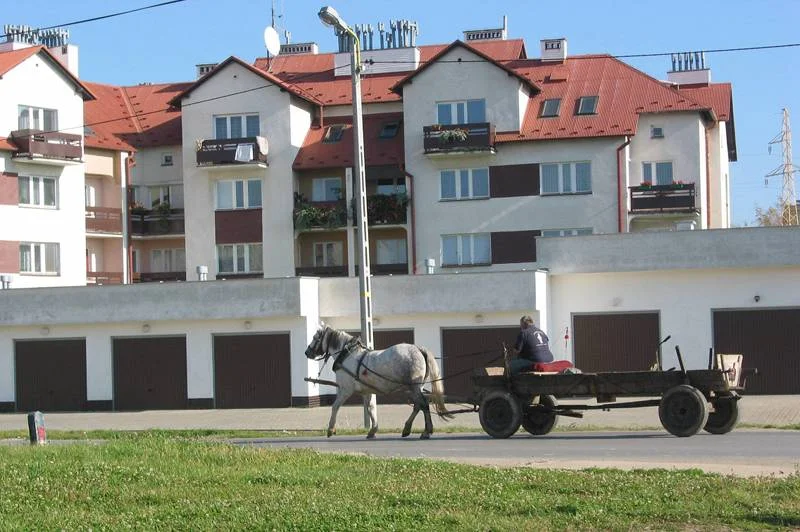 Taki obraz Polski prezentuje brytyjski poradnik
