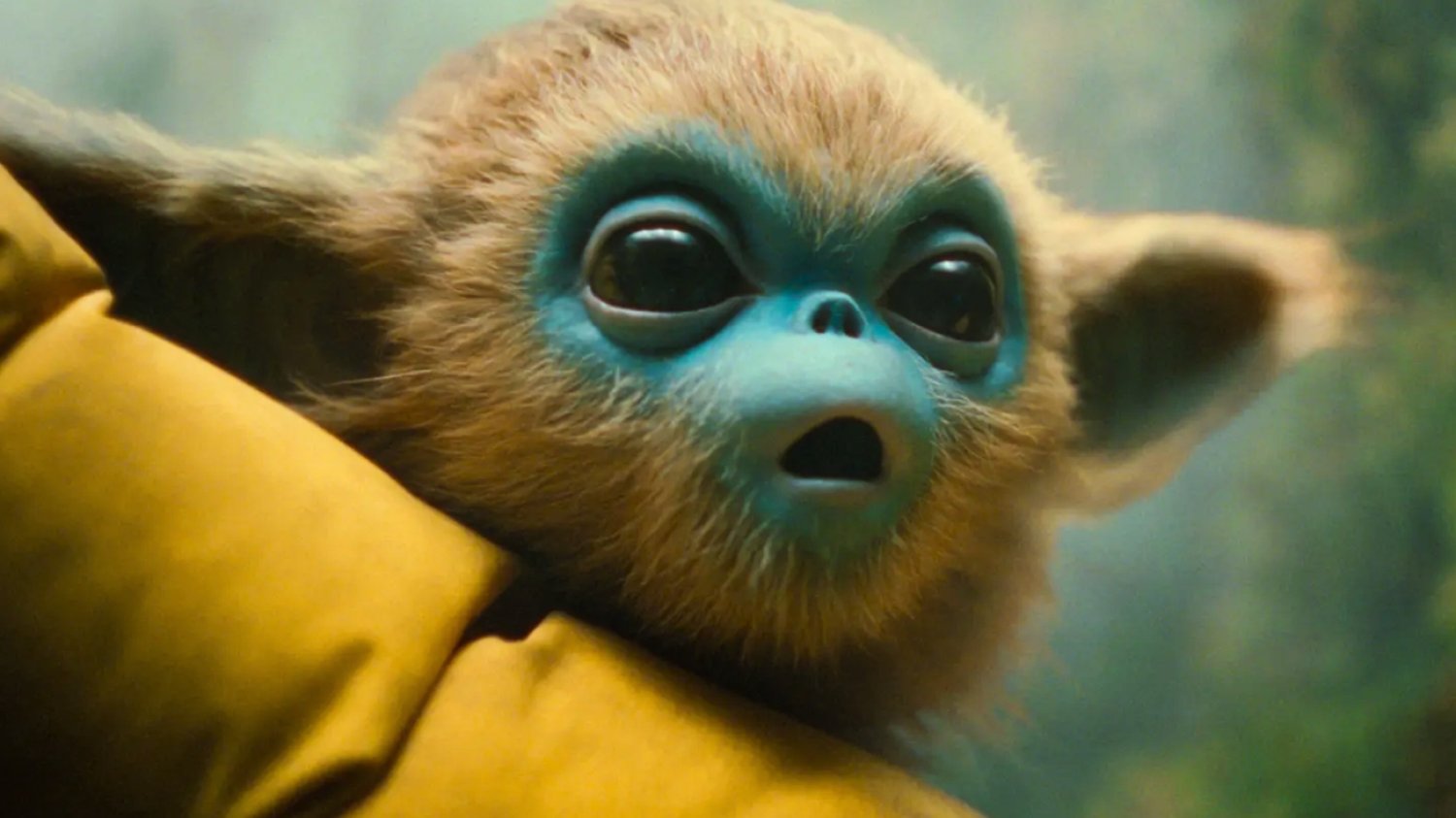 Baby Yoda ma konkurencję. Na VOD trafił wyjątkowy film dla małych i dużych "Legenda Ochi" trafiła na VOD. Ten film to konkurencja dla Baby Yody