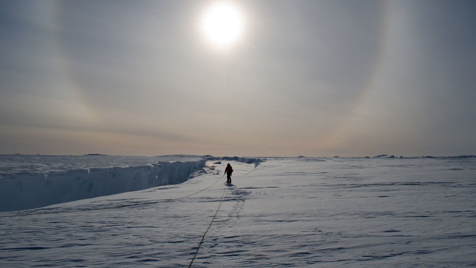Antarktyda to najcichsze miejsce na świecie.