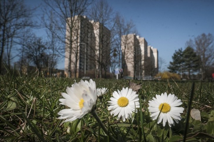 Weekend w Polsce zapowiada się ciepło i słonecznie.