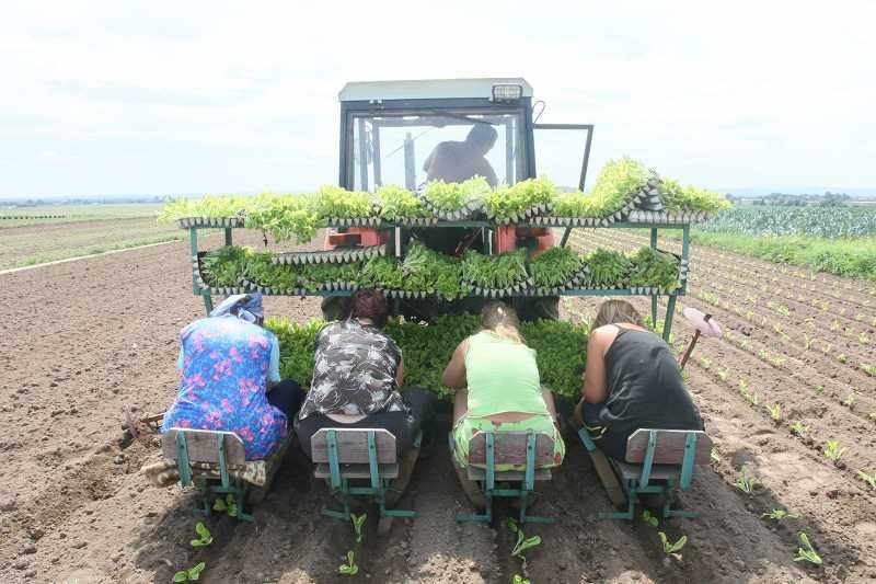 Czy rolnicy ucierpią na zmianie sposobu ich opodatkowania?