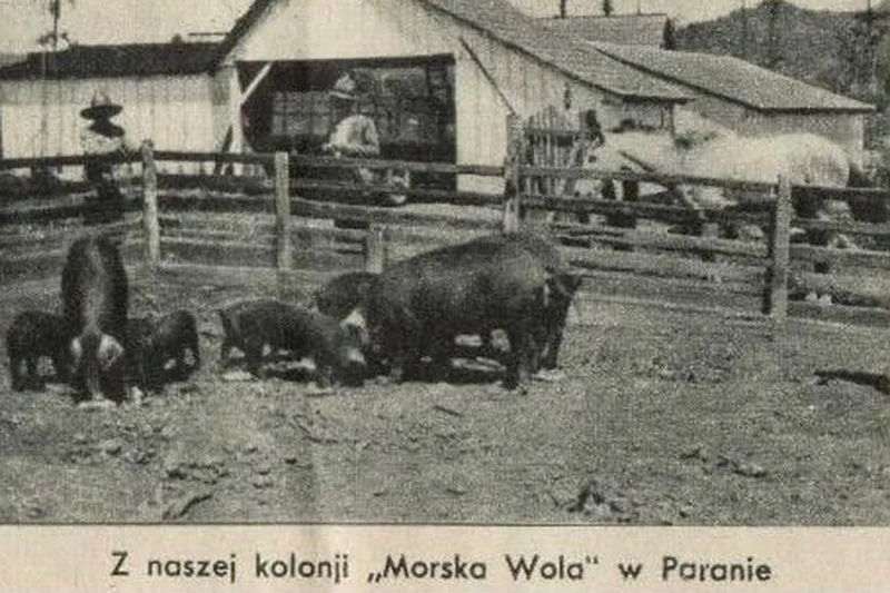 Morska Wola - osada polskich kolonistów w brazylijskiej Paranie.