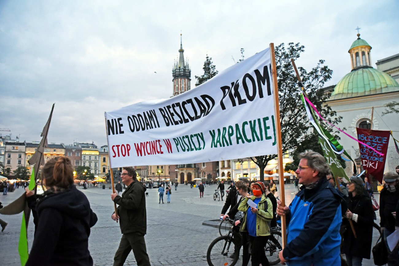 Przedstawiciele Lasów Państwowych i Ministerstwa Klimatu i Środowiska o Puszczy Karpackiej: – Nie istnieje.