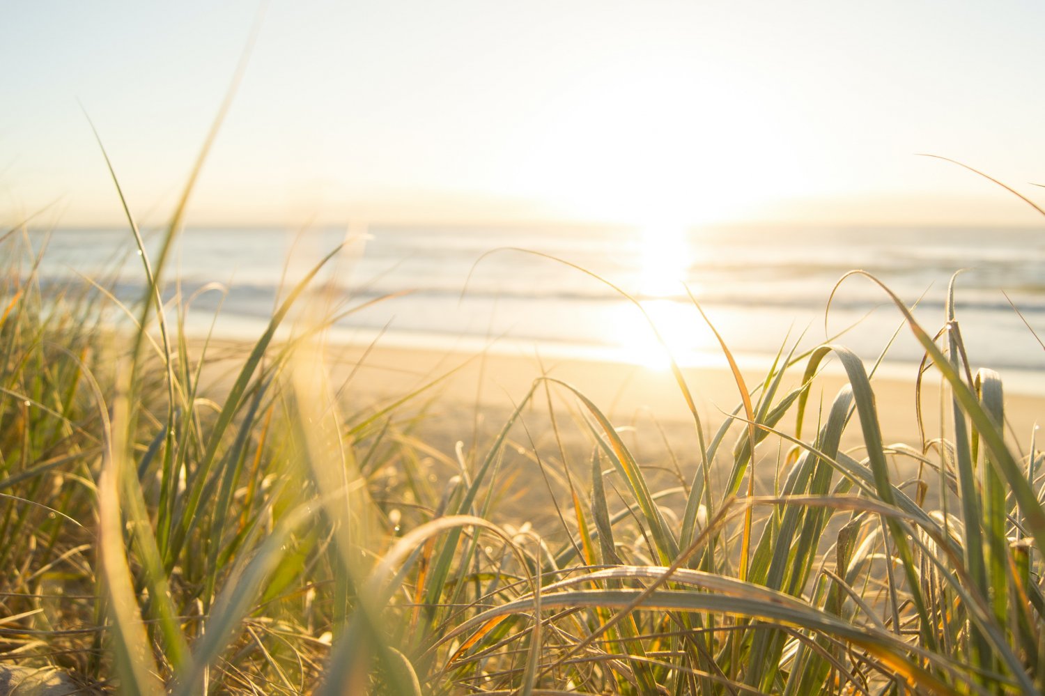 Długoterminowa prognoza pogody na czerwiec. Czy będzie słonecznie?