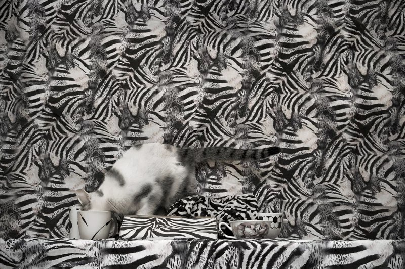Natalia Wiernik, Thanksgiving