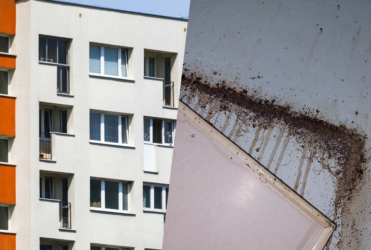 Mieszkania w Warszawie. Jan mówi, w jakich warunkach żyje wielu Polaków