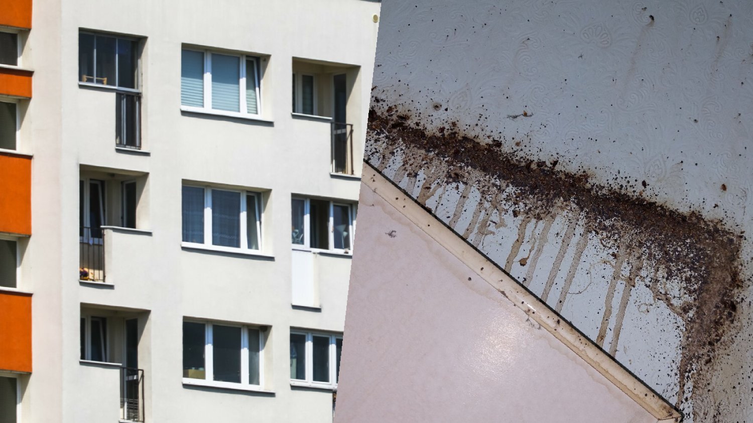 Mieszkania w Warszawie. Jan mówi, w jakich warunkach żyje wielu Polaków
