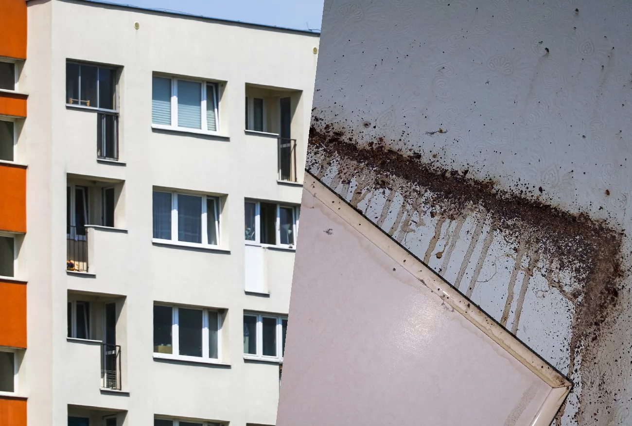 Mieszkania w Warszawie. Jan mówi, w  jakich warunkach żyje wielu Polaków