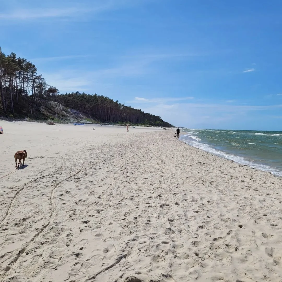 Plaża w Dąbkach.