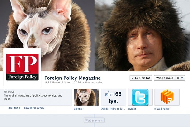 Zestawienie "14 kotów bez sierści, które wyglądają jak Putin" podbija w ostatnich dniach internet.