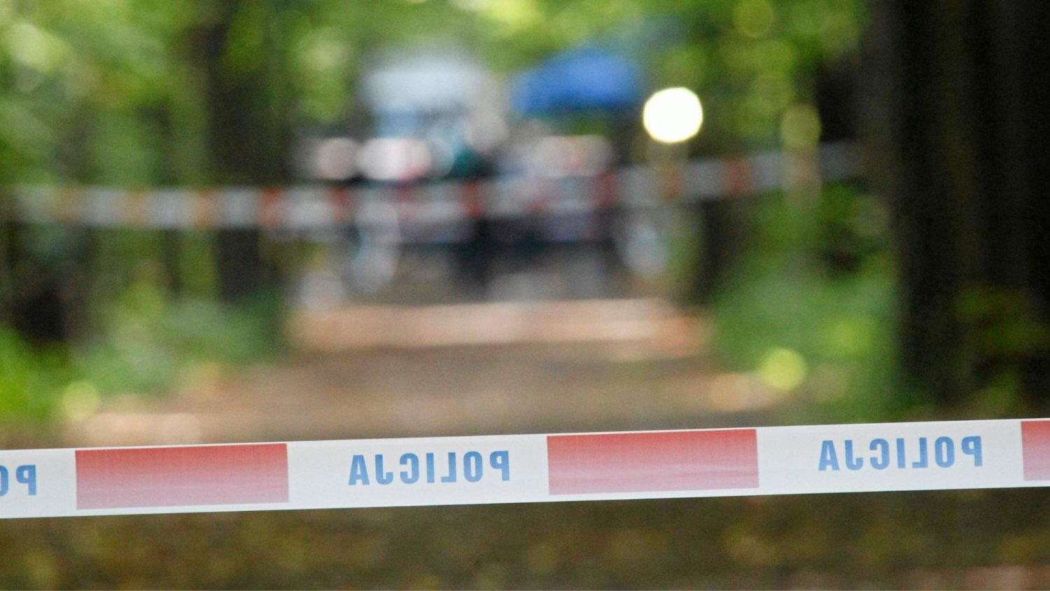 Tragiczny finał wyprawy do lasu. Mężczyzna zmarł po ataku psów