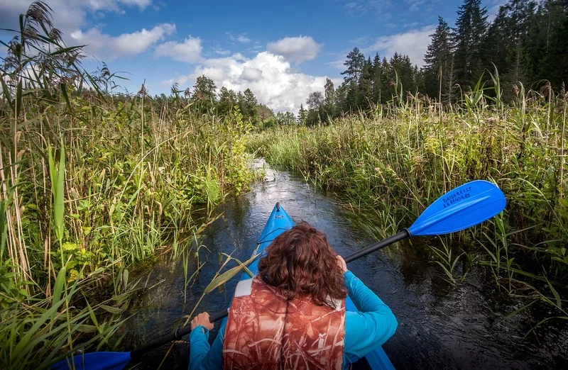 Wycieczka kajakiem wśród wysokich traw da Ci dużą dawkę spokoju. Poczujesz naturę w kościach Wycieczka kajakiem wśród wysokich traw da Ci dużą dawkę spokoju. Poczujesz naturę w kościach