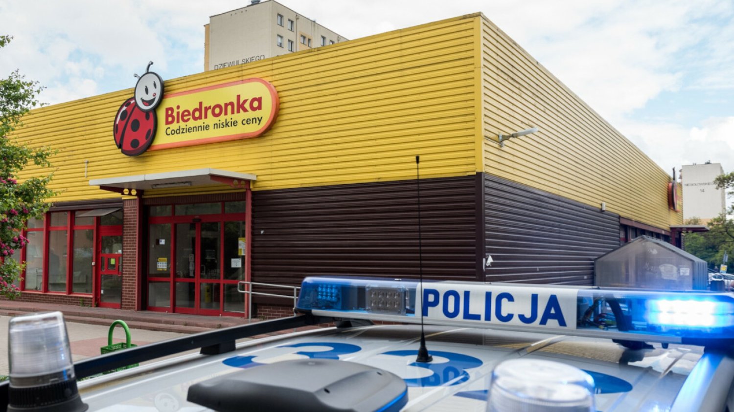 Biedronka.
