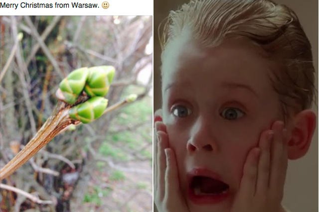 Słońce świeci, ptaki śpiewają, jak poczuć świta kiedy za oknem wiosna?