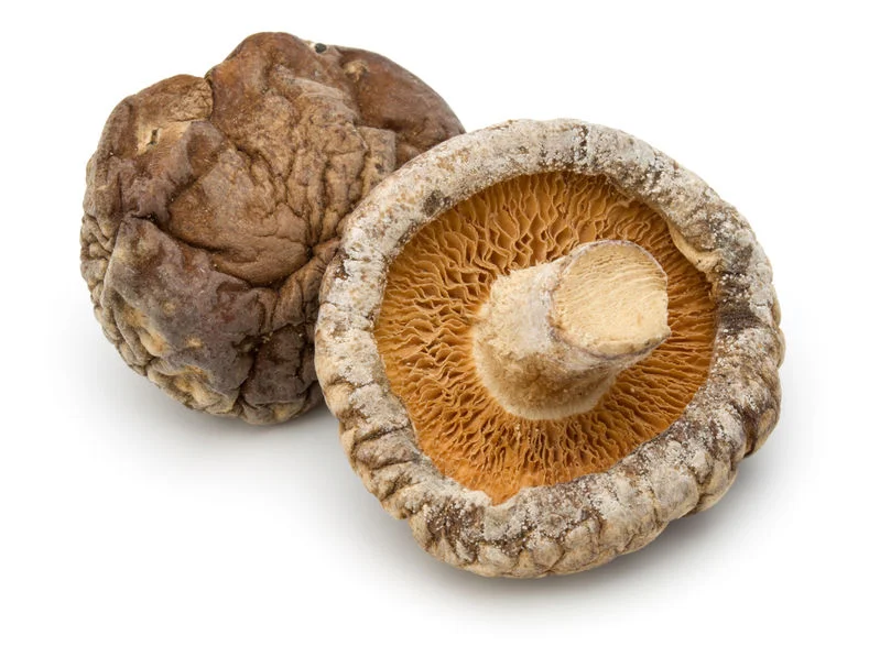 Grzyby SHITAKE. Właściwości zdrowotne.
