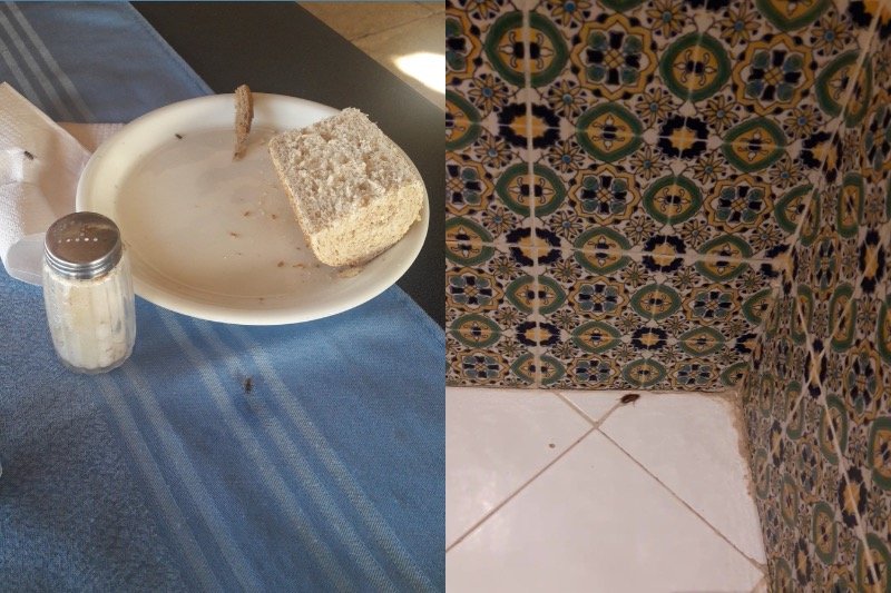 Kliencie biura podróży ITAKA narzekają na wakacje last minute w hotelu Dar El Manara na tunezyjskiej Djerbie.