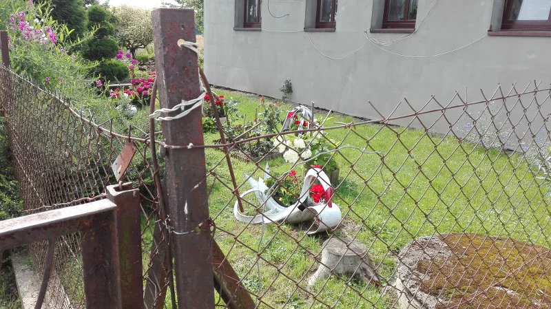 Łabędzie z opon to przebój polskich podwórek.