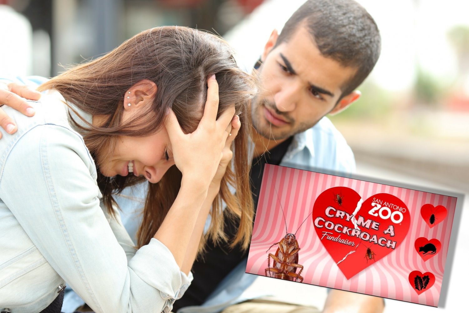 Zoo w San Antonio przeprowadza niecodzienną inicjatywę z okazji Walentynek.