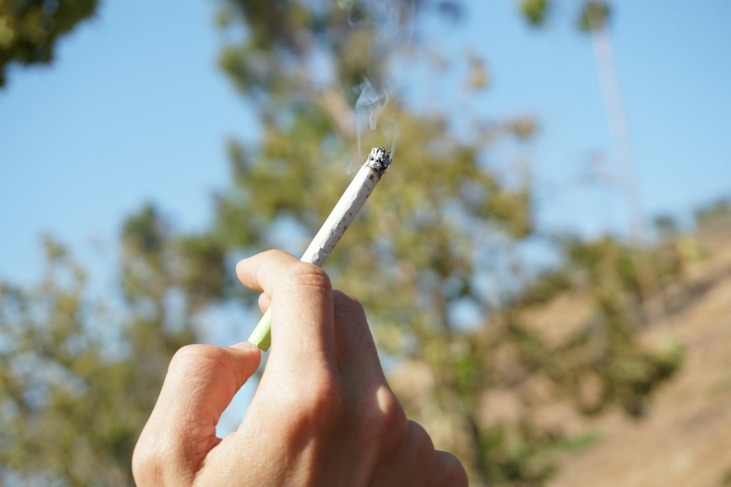 W przeddzień COP 10 międzynarodowy zespół naukowców opracował raport podsumowujący dotychczasową politykę FCTC w kwestii ograniczania palenia tytoniu.